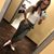 Paige Erin's profile image