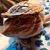 Karen Harmon Ortiz's profile image
