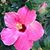 Kathleen Rutherford's profile image