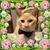 Holly Fourbarrell's profile image