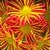 Karen Elkins Stephens's profile image