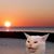 Lysandra Bowers's profile image