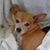 Jennifer Horn Cottingham's profile image