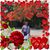 Lourdes Marie Florian's profile image