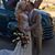 Ann Marie Smith's profile image