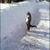 Anita Blasser's profile image