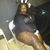 Monica Reed's profile image