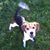 Ann Echols's profile image