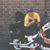 Diane Hawker's profile image
