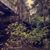 Yvette Lorraine Quesada's profile image