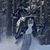 Randall Gremminger's profile image