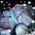 Starla Riddell's profile image
