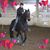 Catt Baker's profile image