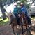 Tamara Thompson's profile image