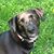 Kris Corradetti McPherson's profile image