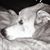 Mandi Healy-Kyzer's profile image