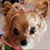 Brenda Burk's profile image