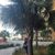 Maria Keyser Guida Tarita's profile image