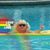 Holly Todak LaBuono's profile image