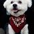 Marilee Gerdes's profile image