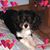 Cathy Alton's profile image