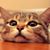 Albert Delos Reyes's profile image