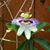 Andy Westerheim's profile image