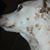 Ingrid Coulson's profile image