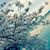 Paria D Pari's profile image