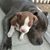 Rebecca Mendivel's profile image