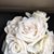 Pamela Rose Clemens's profile image