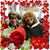 Cynthia Grant's profile image
