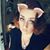 Starla Frank's profile image