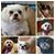 Lori Ann Avella Selch's profile image