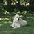 Lori Tuggle's profile image