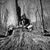 Earl Kuykendall's profile image