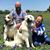 Stella Carsten's profile image