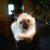 Lisa VanBuskirk's profile image