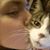 Samantha Klintworth's profile image