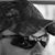 Brian Smith's profile image