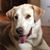 Allene Cumpston's profile image