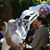 Melissa Chaffins's profile image