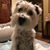 Lori Aydelotte's profile image