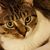 Amber Heriard Verner's profile image
