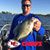 Austin Kakacek's profile image