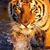 Nancy Stone's profile image