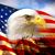 Randy Clements's profile image