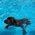 Lorri Pollock's profile image