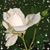 Natalia Dunn's profile image