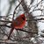 Jeff Folger's profile image